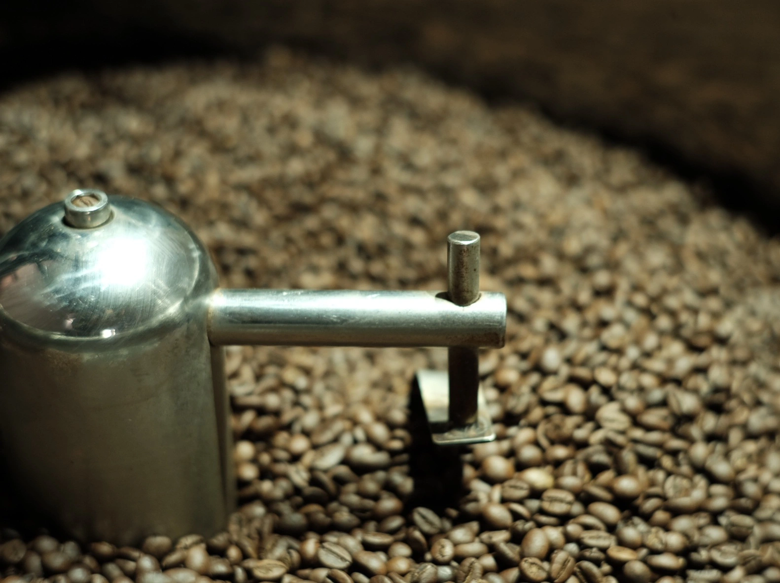 quy trình thu hoạch cà phê tại Codo Farm